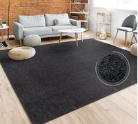 Paco Home Alfombra Salón Color Liso Discreta Moderna Pelo Corto Tamaños, tamaño:120x170 cm, Color:Negro