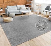 Paco Home Alfombra Salón Color Liso Discreta Moderna Pelo Corto Tamaños, tamaño:280x380 cm, Color:Antracita