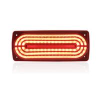 PACSCI Para Benz Para Clase G W463 G55 G350 G500 G63 2007-2017 Kit De Modificación De Montaje De Luz Trasera LED De Coche Piloto Trasero