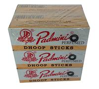 Padmini Dhoop (12)