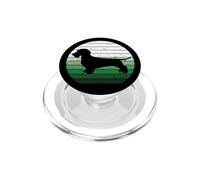 Padre Dachshund de Pelo Duro, Madre Perro Salchicha de Pelo Duro PopSockets PopGrip para MagSafe