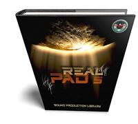 Pads Real Platinum Collection - Biblioteca de muestras/bucles originales WAVE/Kontakt