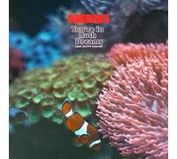 Paerish - You're in both dreams (and you're scared) [Vinilo]