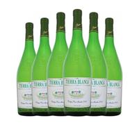 Páez Morilla Tierra Blanca Vino de la Tierra de Cádiz 75 cl Vino blanco (Caja de 6 Botellas de 75 cl)
