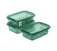 PAFEN 3x Caja de almacenaje con tapa 3l - 29x19,5x9cm - Cajas Almacenaje Cajas apilables con clips de cierre Contenedores de plástico Cajas para ropa Organizador transparente | Verde