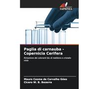 Paglia di carnauba - Copernicia Cerifera: Rimozione dei coloranti blu di metilene e cristallo viola