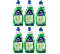 Paglieri Felce Azzurra Casa PAVIMENTI Primavera suelo limpiador 1 lt mehrfl ächig