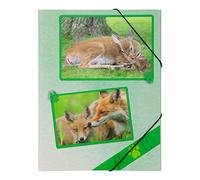 PAGNA 21608-15 - Carpeta con goma (A4, polipropileno, 3 solapas), diseño de animales del bosque
