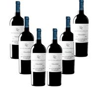 Pago de los Capellanes Roble - Vino Tinto - Nueva Añada 2024 | 75 cl | D.O. Ribera del Duero | Crianza en barrica | Equilibrado y afrutado - 6 Botellas 75cl