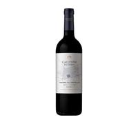 Pagos de Valcerracín Callejón del Crimen Single Vineyard El Cepillo Malbec Valle de Uco 75 cl Vino tinto