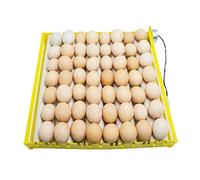 PAIDUOJI Nuevos modelos Incubadoras Bandeja de rodillos Codorniz (HT-9tubes-220V-FW)