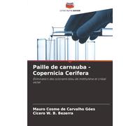 Paille de carnauba - Copernicia Cerifera: Élimination des colorants bleu de méthylène et cristal violet