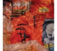 Painjerk - Mission Invisible / Kill The Poor [Vinilo]