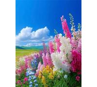 Paint by Number for Adult,Color Rice Flowers DIY Oil Painting Kits on Canvas for Beginner,with Brushes and Acrylic Pigment,Paint by Numbers Arts and Crafts Kit for Home Decor Without Frame,40x50cm