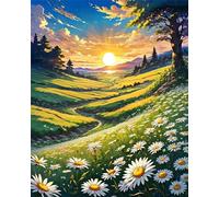 Paint by Number for Adult,Field Daisy Sunrise DIY Oil Painting Kits on Canvas for Beginner,with Brushes and Acrylic Pigment,Paint by Numbers Arts and Crafts Kit for Home Decor Without Frame,40x50cm