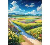 Paint by Number for Adult,Field Sky Path DIY Oil Painting Kits on Canvas for Beginner,with Brushes and Acrylic Pigment,Paint by Numbers Arts and Crafts Kit for Home Decor Without Frame,40x50cm