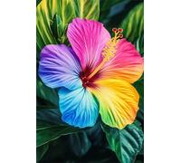 Paint by Number for Adult,Flower Colorful DIY Oil Painting Kits on Canvas for Beginner,with Brushes and Acrylic Pigment,Paint by Numbers Arts and Crafts Kit for Home Decor Without Frame,55x70cm