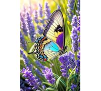 Paint by Number for Adult,Lavender Butterfly DIY Oil Painting Kits on Canvas for Beginner,with Brushes and Acrylic Pigment,Paint by Numbers Arts and Crafts Kit for Home Decor Without Frame,40x50cm