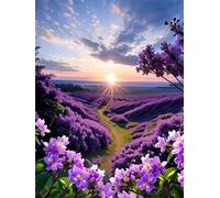 Paint by Number for Adult,Lavender Field DIY Oil Painting Kits on Canvas for Beginner,with Brushes and Acrylic Pigment,Paint by Numbers Arts and Crafts Kit for Home Decor Without Frame,40x50cm