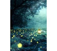 Paint by Number for Adult,Misty Jungle DIY Oil Painting Kits on Canvas for Beginner,with Brushes and Acrylic Pigment,Paint by Numbers Arts and Crafts Kit for Home Decor Without Frame,40x50cm