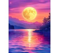 Paint by numbers adult RíO, Paisaje Pintar por Numeros, Pinturas al óleo por Números para Adultos Principiantes Kit de Pintura para Niños, Sin marco, Regalos para la decoracion del hogar 50x65cm Q-129