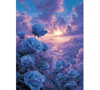 Paint by Numbers Kits for Adults with Frame Sunset Sky Clouds,Painting by numbers On Canvas for Beginner,DIY Color Acrylic Paints Oil painting Art Crafts for Home Wall Decor Gift 50x65cm