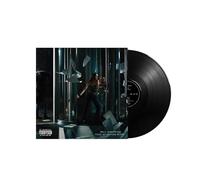 Paint My Bedroom Black (Vinilo)