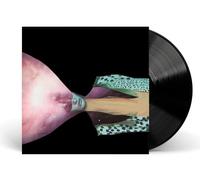 Painted Shield 2 [Vinilo]