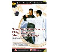 Pair Practice of Eight Diagrams Palm