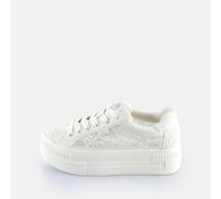 Paired Bloom weiss 39