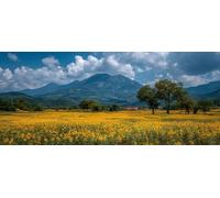 Paisaje 5D Diamond Painting, Flor Diamond Painting Adultos, DIY Cuadro Diamante Accesorios, 5D Dibujos con Diamantes Art Kit Manualidades Adultos, Regalo, Primavera Decoracion Hogar, 110x50cm 6-6919