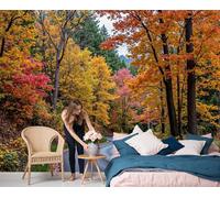 Paisaje Camino Forestal Otoñal Papel Pintado Impreso En 3D, 250 X 175 Cm Pared Papel Pintado, Paisajes Naturales Realistas Decoración De Paredes Para Salón Dormitorio Pasillo Comedor, Amarillo