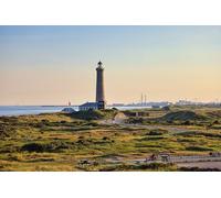 Paisaje costero - Rompecabezas de Madera de 1000 Piezas: Juguete Familiar Que estimula el Cerebro (14 años+)