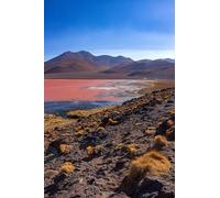 Paisaje Natural de montaña - 300 Juegos de Rompecabezas de Madera para familias: una Variedad de Juegos de Rompecabezas para Mejorar Habilidades (14 años+)