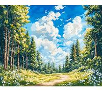 paisaje natural Latch Hook Rug Kit for Adults,Bosque de primavera,DIY Latch Hook Rug Kit with Preprinted Pattern Canvas,Needlework Crafts Rug for Home Decor,90x120cm
