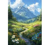Paisaje Pintar por Numeros Adultos y Principiantes, Kit de Pintura al Óleo de Lienzo para con Pinceles, DIY Paint by Numbers Kits, Kit Manualidades Adultos, Decoración del Hogar 70x90cm Cielo Y-S443