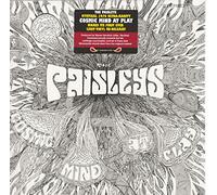 Paisleys - Cosmic Mind At Play [Vinilo]