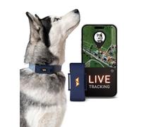 PAJ Localizador GPS para Perros 4G - Alarmas de Fuga + Seguimiento Global en Tiempo Real - Batería hasta 10 días - 100% Resistente al Agua (IP67) - con Luces LED - Apto para Cualquier Collar - Azul