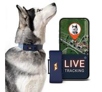 PAJ Localizador GPS para Perros 4G - Incl. 3 Meses de Suscripción Premium, Alarmas de Fuga, Seguimiento en Vivo - Batería hasta 10 Días - 100% Resistente al Agua - Apto para Cualquier Collar - Azul