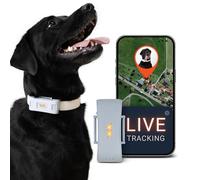 PAJ Localizador GPS Perros 4G - Incl. 3 Meses de Suscripción Premium, Gris | Alarmas de Fuga - Seguimiento en Vivo - Batería hasta 10 Días - 100% Resistente al Agua - Apto para Cualquier Collar