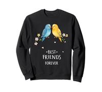 Pajaritos Amigos para Siempre - Naturaleza Amistad Animales Sudadera