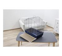 Pájaro Arena Alfombra 28 x 43 cm, 6 hojas, arena suelo