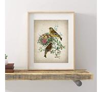 Pájaro Botánico Póster Impresión Antigua Ilustración Nido Imagen Animal Historia natural Arte de la pared Pintura de lienzo, para sala de estar decoración sin marco (Size : (19.7x27.6inch)50x70cm)