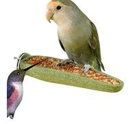 Pájaro de roer | Juguetes para pájaros con percha y tratar | Bastón de enriquecimiento para loros,para Casa Apartamento Al aire libre patio exterior