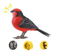 Pájaro electrónico para mascotas: juguete interactivo con chirrido realista con música, lindo peluche de pájaro cantor animado | Regalo entretenido para adolescentes, niñas, niños, hombres, mujeres, m