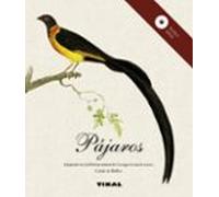Pajaros