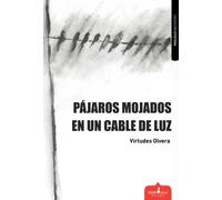 PÁJAROS MOJADOS EN UN CABLE DE LUZ | Virtudes Olvera