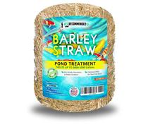 Pajita de Cebada para estanques de Peces y Fuente (16 onzas). Trata hasta 3000 a 5000 galones, Limpiador de estanques 100% Seguro y Natural. Mantiene tu jardín acuático Limpio y Fresco. Fabricado en