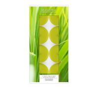 pajoma Duftteelichte in Aluminiumhülle Velas perfumadas, Cera Vegetal, Amarillo, 3.5 cm, 8