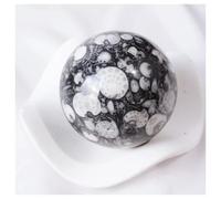 PAJPXPCD 1 pieza de 6-6,5 cm concha, esfera jaspe, cristal jade y amonita PAJPXPCD